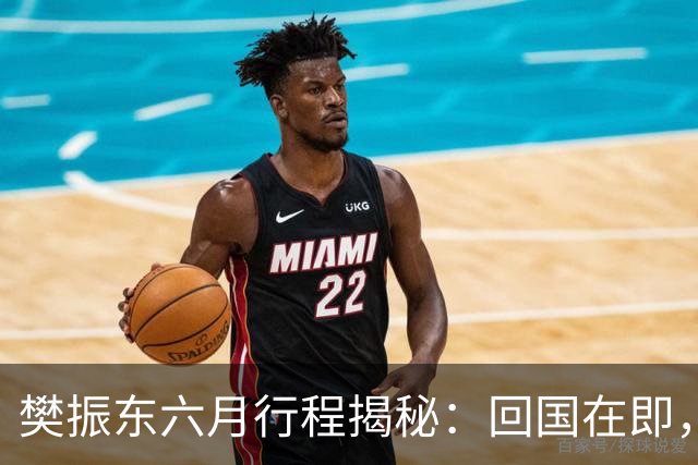 樊振东六月行程揭秘：回国在即，他会与王励勤共商奥运大计吗？